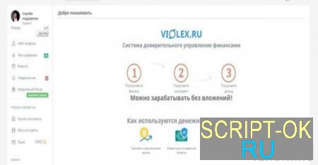 Скрипт экономического проекта Violex