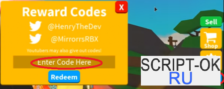 Куда вводить коды?