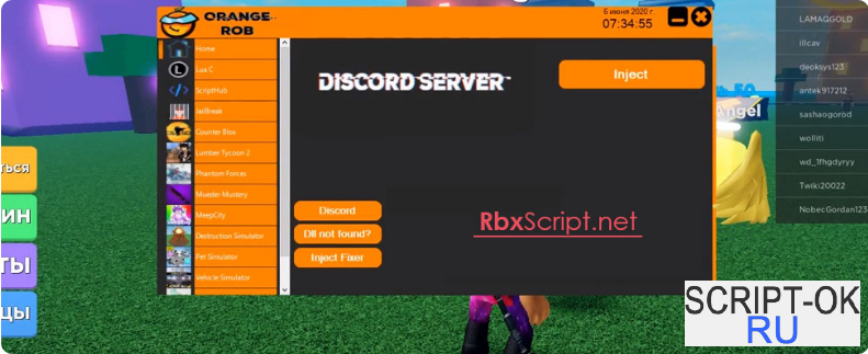 Инжектор для РОБЛОКСА. Инжектор для РОБЛОКС dll. Инжектор для РОБЛОКС без вирусов.