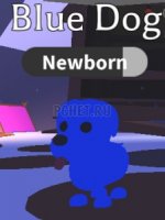 Синяя собака