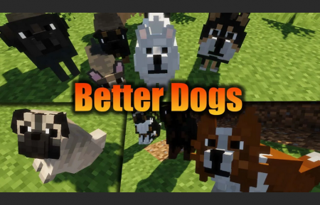 Better dogs - текстуры реалистичных собак [1.19.3] [1.18.2] [1.12.2] [1.8.9] [16x]